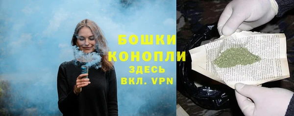 соль ск Гусиноозёрск