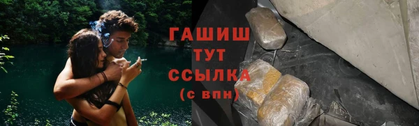 spice Дмитриев