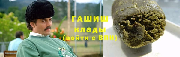 spice Дмитриев