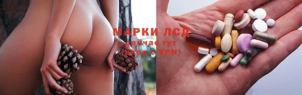 spice Дмитриев