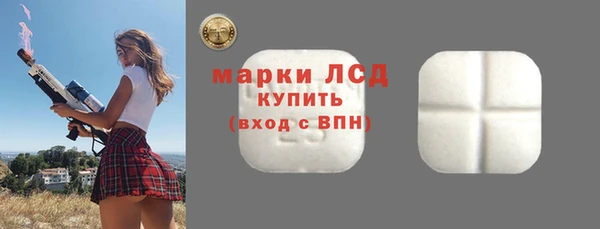 spice Дмитриев