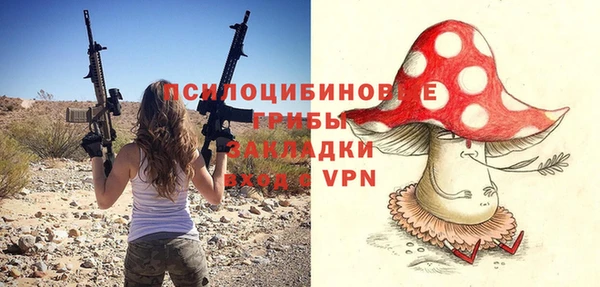 spice Дмитриев