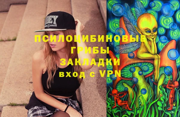 соль ск Гусиноозёрск