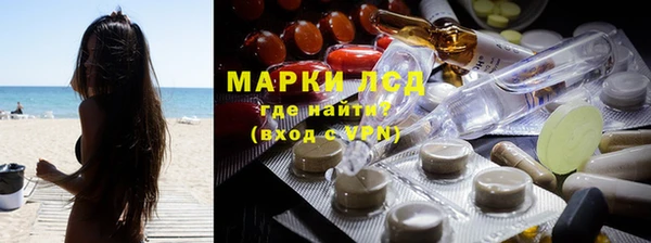 spice Дмитриев