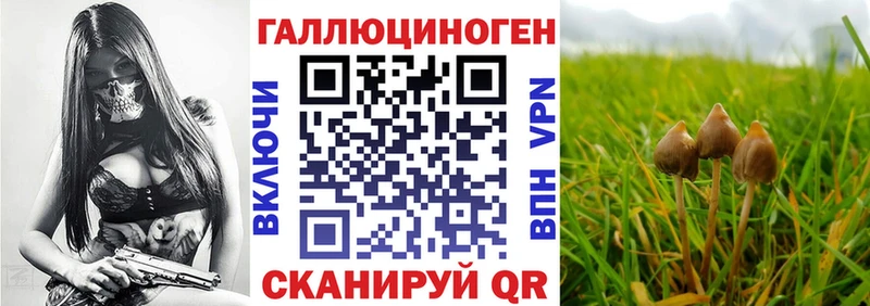 Псилоцибиновые грибы MAGIC MUSHROOMS  Рыбинск 